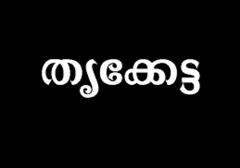 Sree Durga Jyothishalayam കൊല്ലവര്‍ഷം 1198 ചിങ്ങം 19 തൃക്കേട്ട നക്ഷത്രം-blog